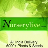 Nursery Live Coupons Offers: Upto 50% OFF, Extra Flat Rs 300 OFF on Shopping worth Rs 1000 or more