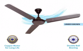 Buy Hindware Thriver 1200 mm 3 Blade Ceiling Fan (Umber Brown, Pack of 2) at Rs 1999 from Flipkart