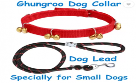 Buy Dog Belt Combo of Red Ghungroo Collar with Black Lead Specially for Small Breed Dog Collar & Leash at Rs 190 from Flipkart