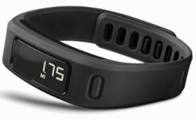 Buy Garmin Vivofit Wireless Fitness Wrist Band and Activity Tracker at Rs 3,059 from Amazon