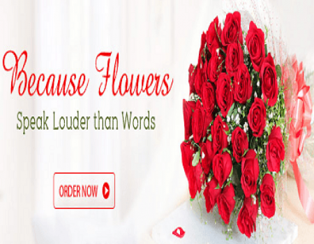 FlowerAura Coupons & Offers: Upto 50% OFF+ Extra Upto Rs 500 OFF on Shopping above Rs 2,799