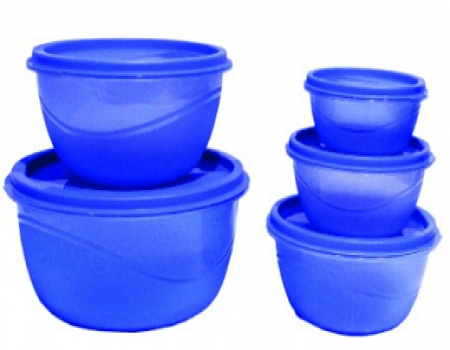 Buy Princeware Store Fresh Plastic Bowl Package Container, Set of 5, Blue at rs 119 Amazon